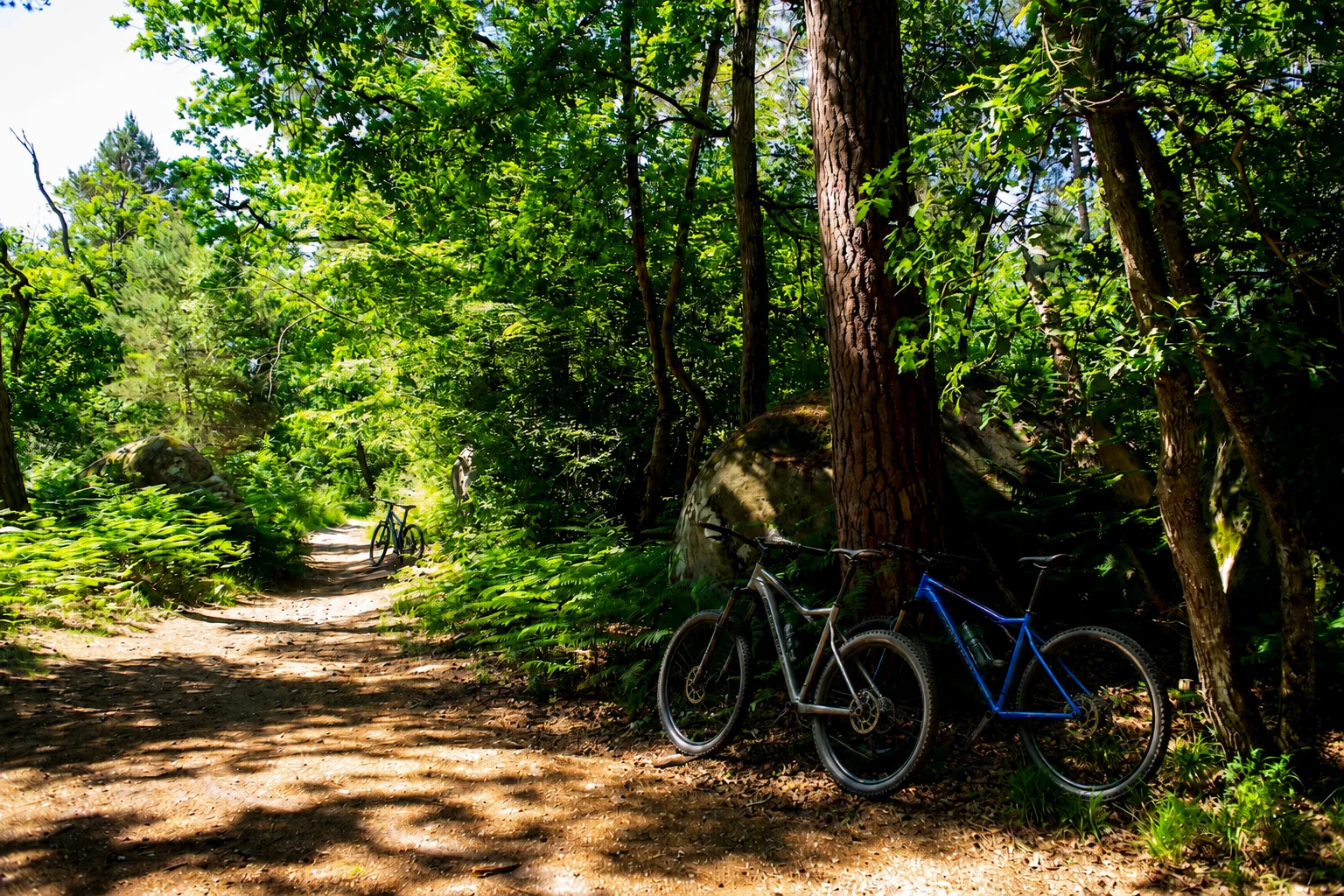 Balade en vélo Fontainebleau