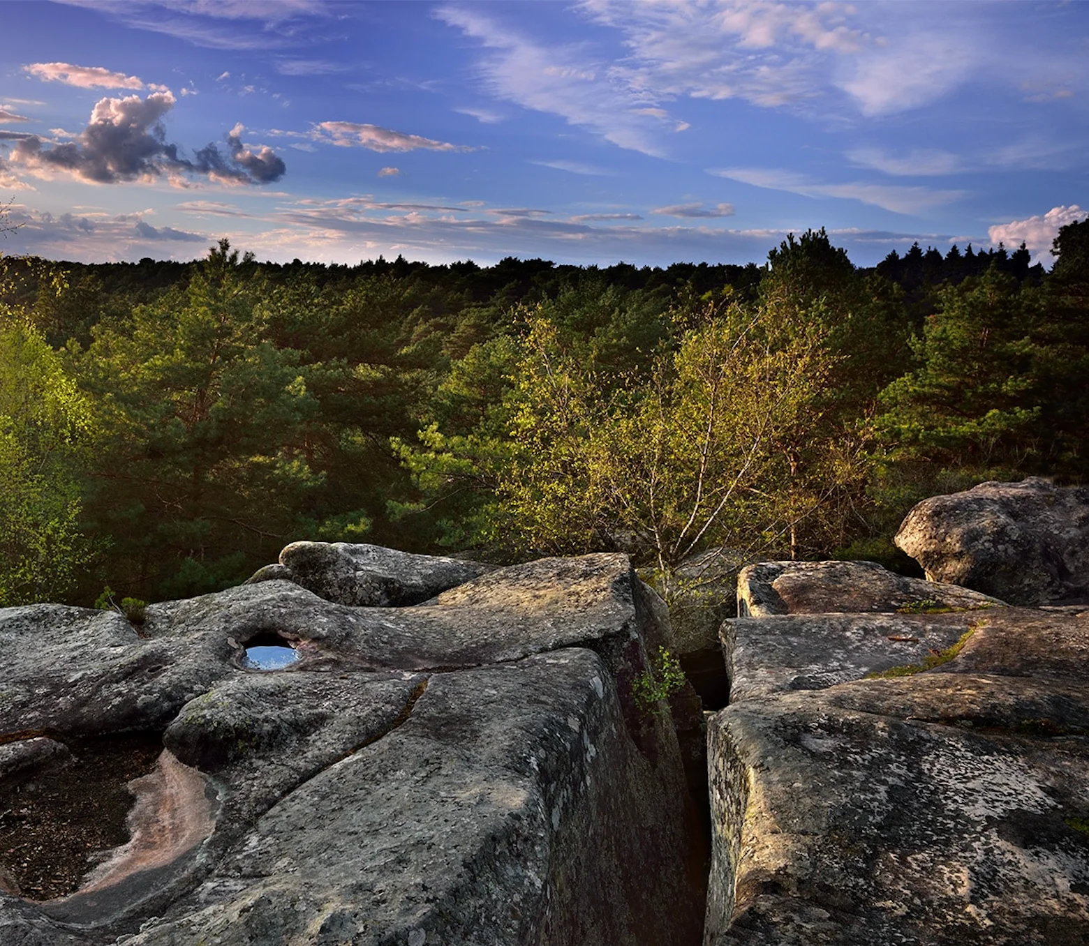 Randonnée en forêt de Fontainebleau